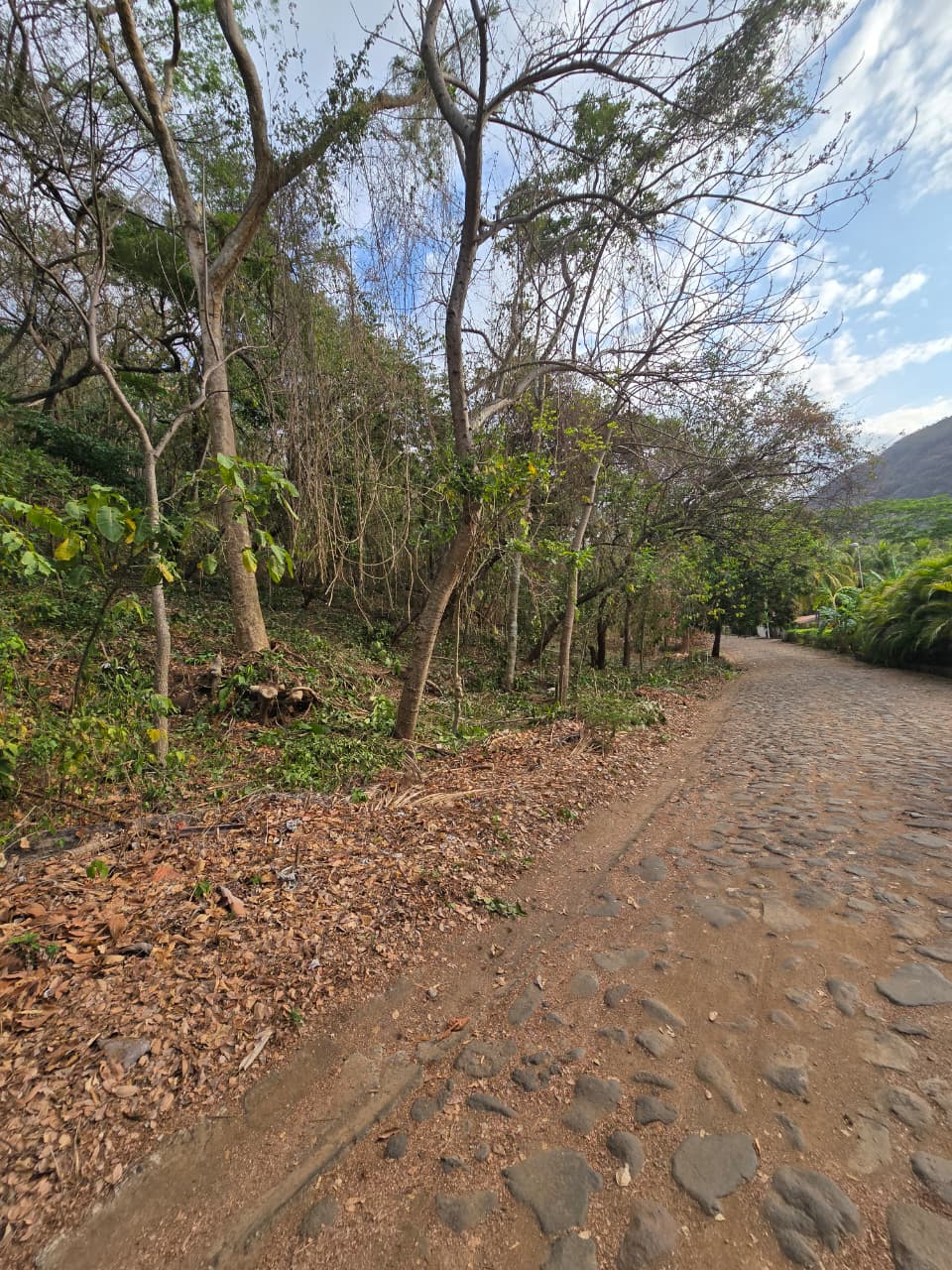 Venta de Terreno #1 en Residencial Bahía Dorada, Carretera del Litoral, Zona de los Túneles