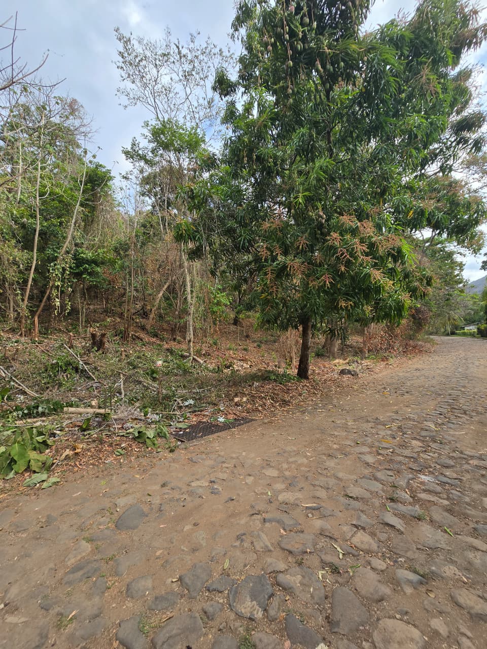Venta de Terreno #1 en Residencial Bahía Dorada, Carretera del Litoral, Zona de los Túneles